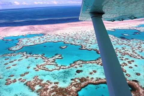8-Day Cairns Tour: Great Barrier Reef, Kuranda, Daintree Rainforest - Melbourne Tourism 2
