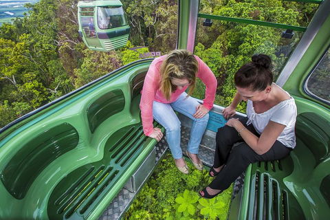 8-Day Cairns Tour: Great Barrier Reef, Kuranda, Daintree Rainforest - Melbourne Tourism 3