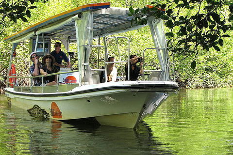 8-Day Cairns Tour: Great Barrier Reef, Kuranda, Daintree Rainforest - Melbourne Tourism 5