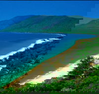 Cairns Reef and Rainforest Combo Daintree Rainforest and the Great Barrier Reef