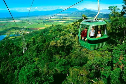 4-Day Cairns Ultimate Combo: Daintree Rainforest, Reef, Kuranda & Paronella Park - Melbourne Tourism 1