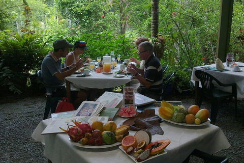 4-Day Cairns Ultimate Combo: Daintree Rainforest, Reef, Kuranda & Paronella Park - Melbourne Tourism 4
