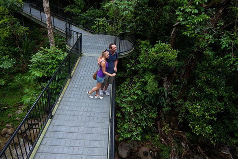 Cape Tribulation, Mossman Gorge, And Daintree Rainforest Premium Day Tour - Melbourne Tourism 3