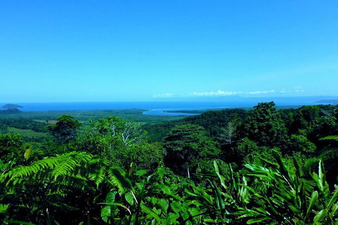 Cape Tribulation, Mossman Gorge, And Daintree Rainforest Premium Day Tour - Melbourne Tourism 5