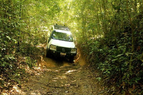 Barron Gorge And Kuranda National Park Half Day Rainforest And Waterfall 4WD Tour From Cairns - Melbourne Tourism 2