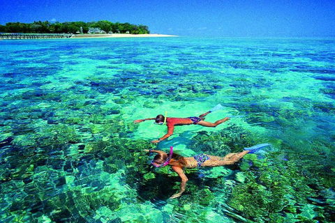 4-Day Cairns With Great Barrier Reef And Daintree Rainforest - Melbourne Tourism 2