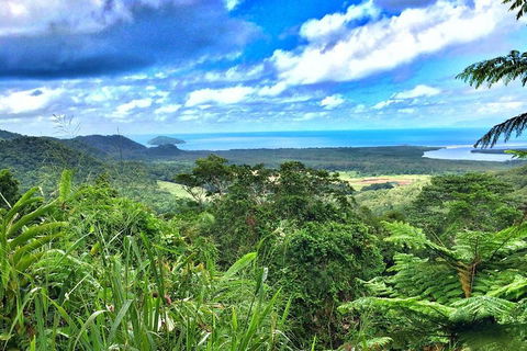 Private Daintree National Park Day Tour From Cairns Including Cape Tribulation And Mossman Gorge - Melbourne Tourism 2