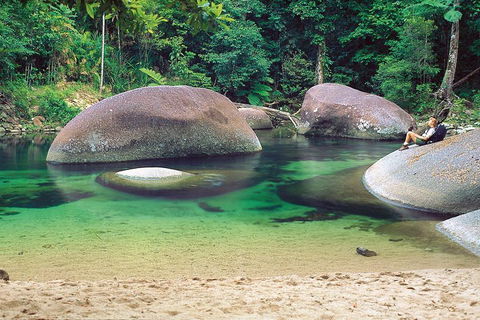 Private Daintree National Park Day Tour From Cairns Including Cape Tribulation And Mossman Gorge - Melbourne Tourism 4