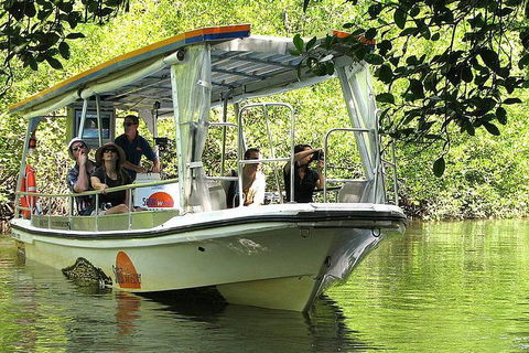 Private Daintree National Park Day Tour From Cairns Including Cape Tribulation And Mossman Gorge - Melbourne Tourism 5