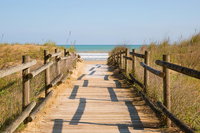 Cruise Ship Shore Excursion - Private Great Ocean Road Full Day Tour 12 Hour, Torquay