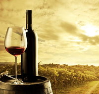 McLaren Vale Luxury Wine Tour - Melbourne Tourism