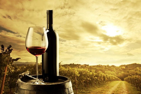 McLaren Vale Luxury Wine Tour - Melbourne Tourism 0