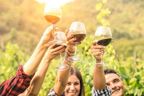 McLaren Vale Luxury Wine Tour - Melbourne Tourism 2