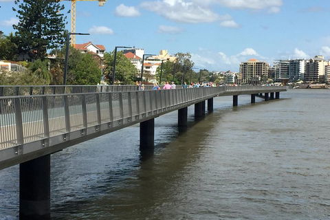 Brisbane City Highlights With Lone Pine! - Melbourne Tourism 1