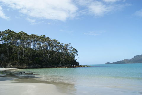Bruny Island Day Trip From Hobart - Melbourne Tourism 1