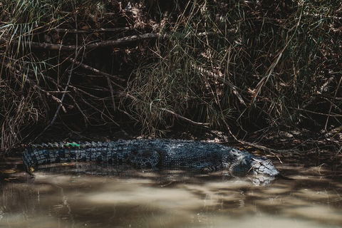Kakadu Full-Day Tour From Darwin With Lunch - Melbourne Tourism 4