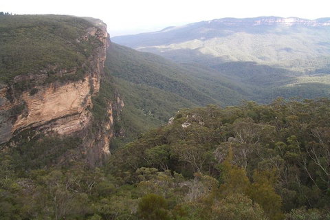 Full-Day Private Blue Mountains Tour With River Cruise - Melbourne Tourism 3