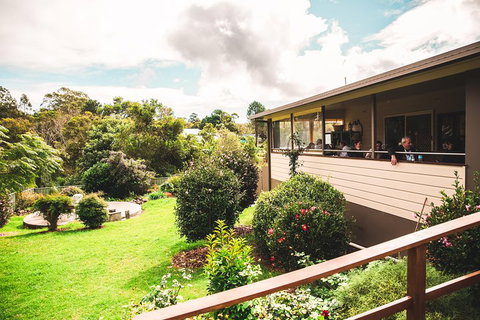 Full-day Springbrook National Park Tour From The Gold Coast - Melbourne Tourism 2