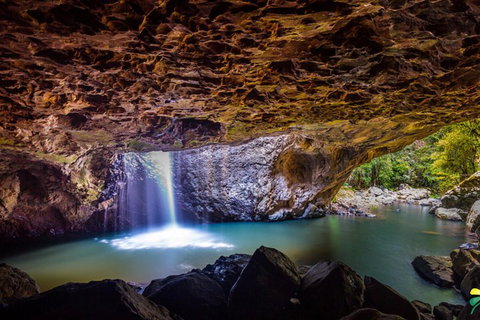 Full-day Springbrook National Park Tour From The Gold Coast - Melbourne Tourism 3