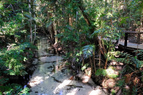 Fraser Island 4WD Tour From Rainbow Beach - Melbourne Tourism 0