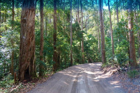 Fraser Island 4WD Tour From Rainbow Beach - Melbourne Tourism 4