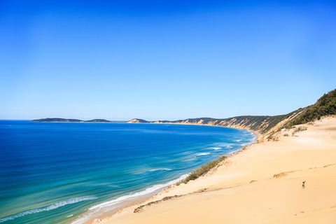 Kayak With Dolphins And 4WD Great Beach Drive Day Trip From Noosa - Melbourne Tourism 0