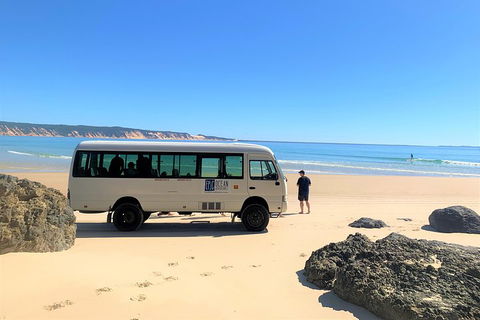 Kayak With Dolphins And 4WD Great Beach Drive Day Trip From Noosa - Melbourne Tourism 4