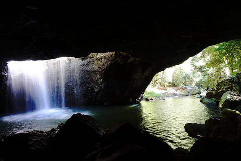 Rainforest & Waterfalls Extravaganza - Melbourne Tourism 0