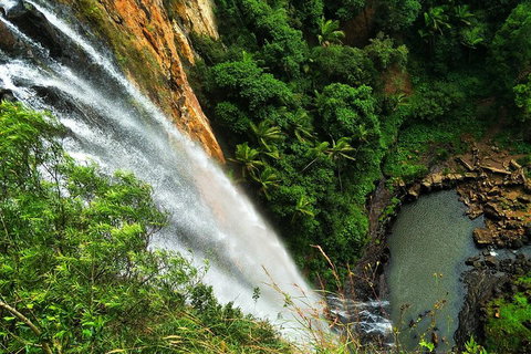 Rainforest & Waterfalls Extravaganza - Melbourne Tourism 1