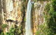 Rainforest & Waterfalls Extravaganza - thumb 3