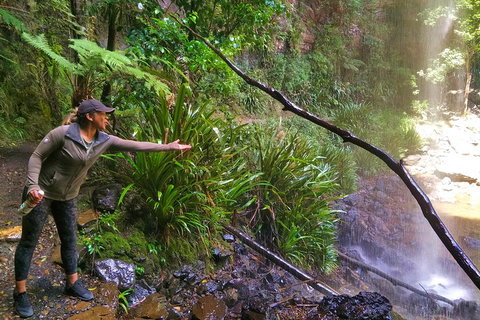 Rainforest & Waterfalls Extravaganza - Melbourne Tourism 4