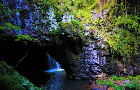 Rainforest & Waterfalls Extravaganza - Melbourne Tourism 5
