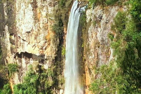 Private Tour - Rainforest & Waterfalls Extravaganza - Melbourne Tourism 0