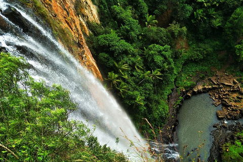Private Tour - Rainforest & Waterfalls Extravaganza - Melbourne Tourism 2