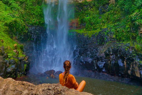 Private Tour - Rainforest & Waterfalls Extravaganza - Melbourne Tourism 3
