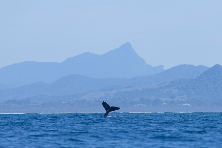 Byron Bay NSW Melbourne Tourism