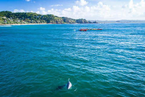 The Byron Bay Sea Kayak Tour - Melbourne Tourism 2