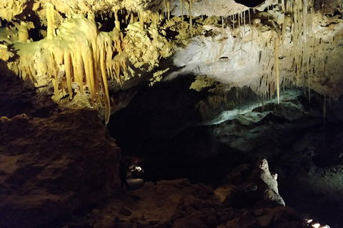 The Pinnacle Adventure Tour - Melbourne Tourism 2