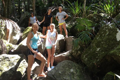 Byron Bay Hinterland Tour Including Rainforest Walk To Minyon Falls - Melbourne Tourism 3