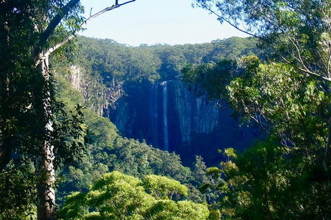 Byron Bay Hinterland Tour Including Rainforest Walk To Minyon Falls - Melbourne Tourism 4
