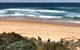Phillip Island Penguins Private Tour - thumb 4