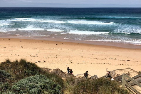 Phillip Island Penguins Private Tour - Melbourne Tourism 4
