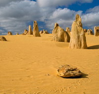 The Pinnacles Sea and Dunescapes Bush Reserve and Sunset Day Tour - Melbourne Tourism