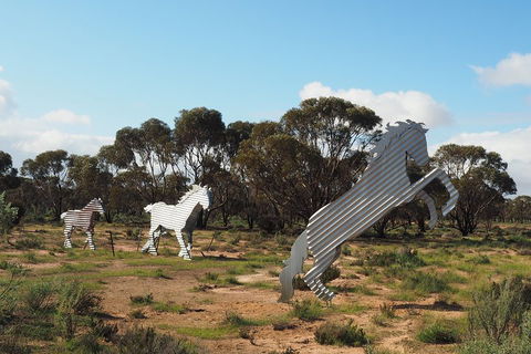 Wave Rock, Wild Flowers And Astro Photography - Melbourne Tourism 5