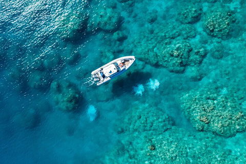 Premium Private Charter - Melbourne Tourism 0