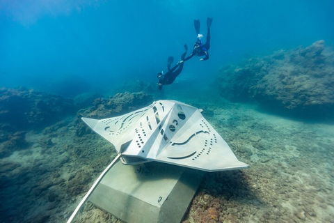 Premium Private Charter - Melbourne Tourism 5