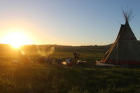 2-Day Camping and Surfing Great Ocean Road Trip from Melbourne