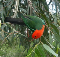 3-Day Private Adelaide to Melbourne tour - Melbourne Tourism