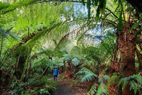 3-Day Adelaide To Melbourne Tour Including The Great Ocean Road - Melbourne Tourism 2