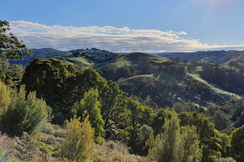 3-Day Adelaide To Melbourne Tour Including The Great Ocean Road - Melbourne Tourism 5